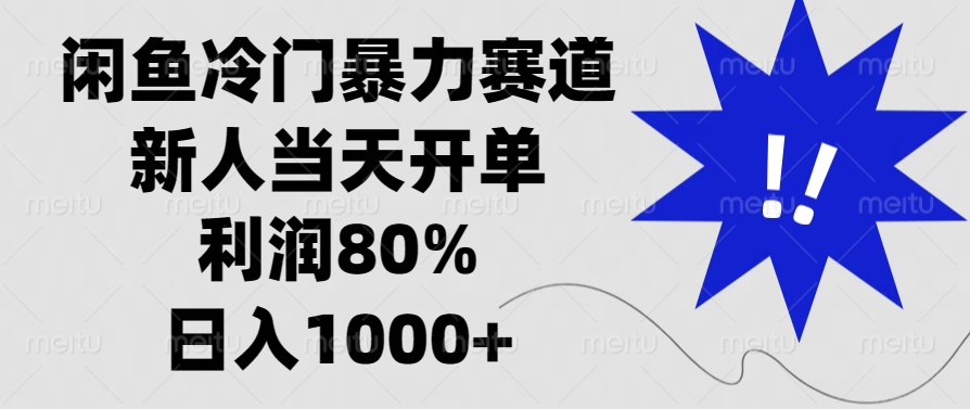（13660期）闲鱼冷门暴力赛道，新人当天开单，利润80%，日入1000+-小白网创