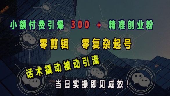 小额付费引爆 300 + 精准创业粉，零剪辑、零复杂起号，话术撬动被动引流，当日实操即见成效-小白网创