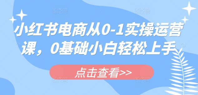 小红书电商从0-1实操运营课，0基础小白轻松上手-小白网创