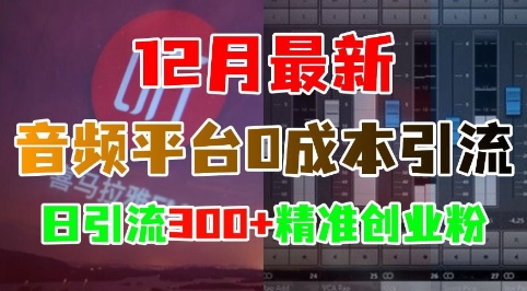 12月最新：音频平台0成本引流，日引流300+精准创业粉-小白网创