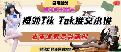 海外tiktok小说推文暴力项目，高停留率，高转化率，上手后一天搞顿饭钱不是问题-小白网创
