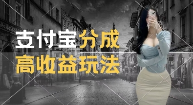 支付宝分成计划新玩法，利用交通事故视频，赚收益，轻松月入过W，操作简单【揭秘】-小白网创