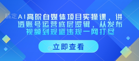 AI高阶自媒体项目实操课，讲透账号运营底层逻辑，从发布视频到规避违规一网打尽-小白网创