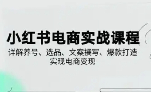 小红书从0-1实操课(2023-2025)，详解养号、选品、文案撰写、爆款打造实现电商变现-小白网创