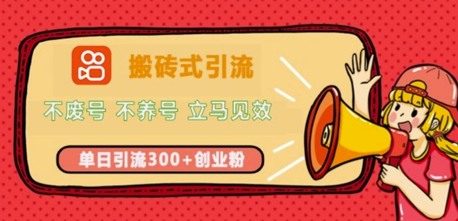 快手搬砖式引流，不废号，不养号，立马见效，单日引流300+精准创业粉-小白网创