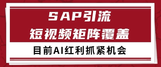 小红书某音sap赛道引流获客 自热矩阵日引200+【揭秘】-小白网创