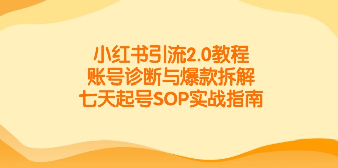 （14981期）小红书引流2.0教程，账号诊断与爆款拆解，七天起号SOP实战指南-小白网创