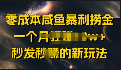零成本咸鱼暴利捞金，一个月收益过w+，秒发新玩法-小白网创