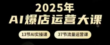 2025年AI爆店运营大课，13节AI实操课+37节流量运营课-小白网创