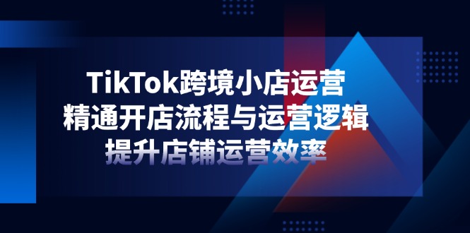 （14369期）TikTok跨境小店运营，精通开店流程与运营逻辑，提升店铺运营效率-小白网创
