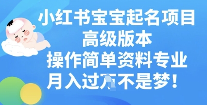 小红书宝宝起名项目高级版本，操作简单，资料专业，月入过W-小白网创