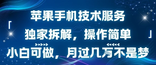 苹果手机技术服务，独家拆解，操作简单，小白可做，月过1W不是梦-小白网创