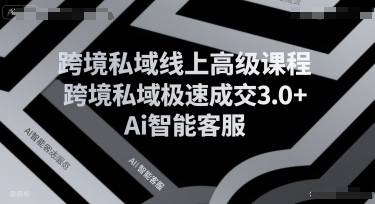 跨境私域线上高级课程，跨境私域极速成交3.0+Ai智能客服-小白网创