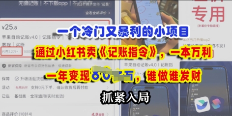 一个冷门需求，通过小红书卖《记账指令》，一本万利，谁做谁发，抓紧入局-小白网创
