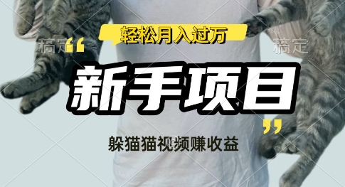 利用老外躲猫猫大赛视频，挣分成收益，操作简单，新手小白，轻松月入过W-小白网创
