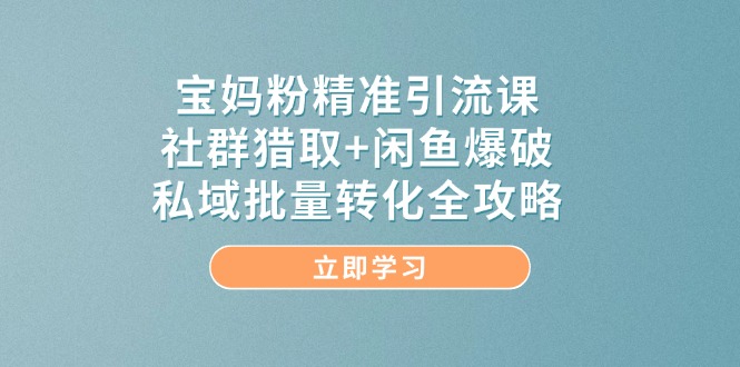 （14820期）宝妈粉精准引流课，社群猎取+闲鱼爆破，私域批量转化全攻略-小白网创