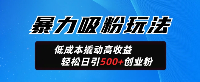 暴力吸粉玩法，日引500+精准创业粉，日变现轻松多张-小白网创