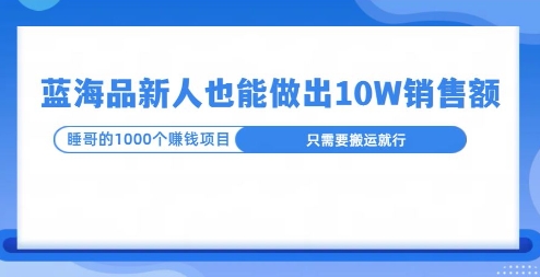 这个蓝海品，新号也能卖出10W的销售额，年底疯狂怼量就能出结果-小白网创