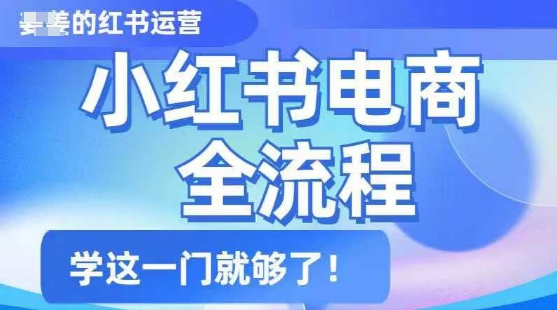 小红书电商全流程，精简易懂，从入门到精通，学这一门就够了-小白网创