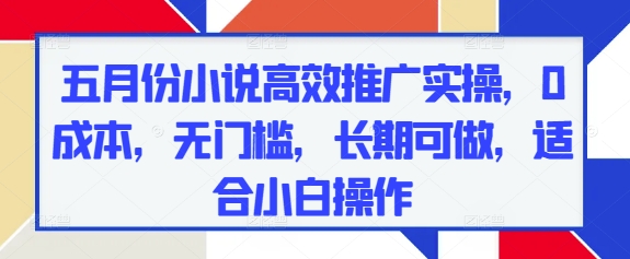 五月份小说高效推广实操，0成本，无门槛，长期可做，适合小白操作-小白网创