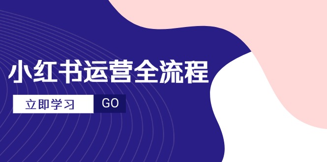（14861期）小红书运营全流程，爆款选题文案，视频制作技巧，进阶达人宝典-小白网创