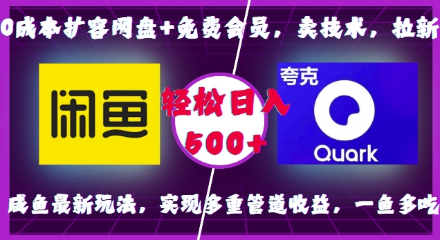 0成本扩容网盘+免费会员，卖技术，拉新，咸鱼最新玩法，实现多重管道收益，一鱼多吃，轻松日入500+-小白网创