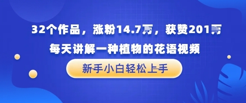32个作品，涨粉14.7W，获赞201W，每天讲解一种植物的花语视频，无需任何技巧，新手小白轻松上手-小白网创