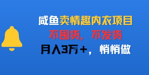咸鱼卖情趣内衣项目，不囤货，不发货，月入3W+，悄悄做-小白网创