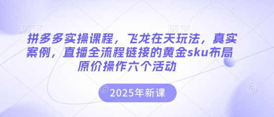 拼多多实操课程，飞龙在天玩法，真实案例，直播全流程链接的黄金sku布局原价操作六个活动-小白网创