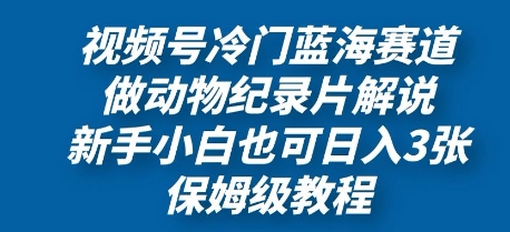 视频号冷门蓝海赛道，做动物纪录片解说，新手小白也日入3张，保姆级教程-小白网创