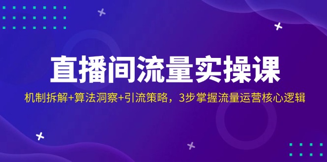 （14122期）直播间流量实操课：机制拆解+算法洞察+引流策略，3步掌握流量运营核心逻辑-小白网创