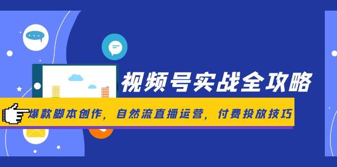 （14925期）视频号实战全攻略，爆款脚本创作，自然流直播运营，付费投放技巧-小白网创