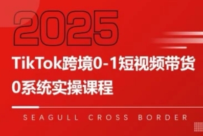 TikTok跨境0-1短视频带货，系统拆解TikTok跨境带货全链路，实现跨境可持续盈利-小白网创