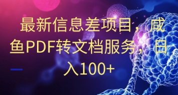 最新信息差项目，咸鱼PDF转文档服务，日入100+-小白网创