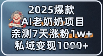 2025爆款 AI 老奶奶项目：亲测 7 天涨粉 1W+，私域变现 1k+-小白网创