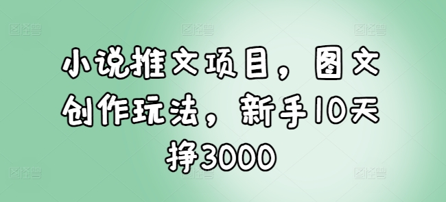 小说推文项目，图文创作玩法，新手10天挣3000-小白网创
