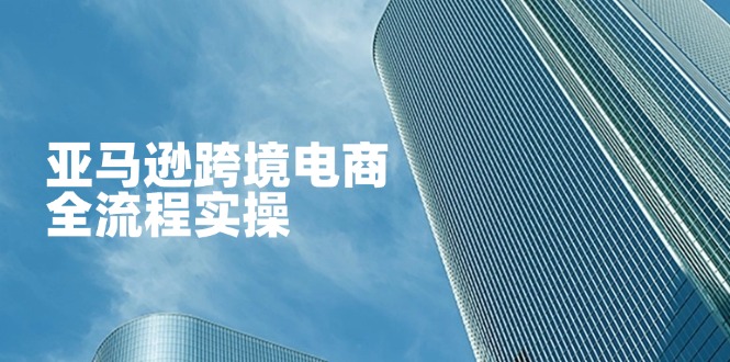 （14252期）亚马逊跨境电商全流程实操，教你从零开始，掌握店铺运营与广告技巧-小白网创
