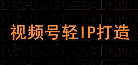 视频号线上课程，视频号轻IP打造-小白网创