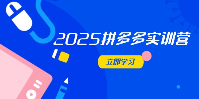 （14531期）2025拼多多实训营：深度剖析运营关键，助力电商人快速提升-小白网创