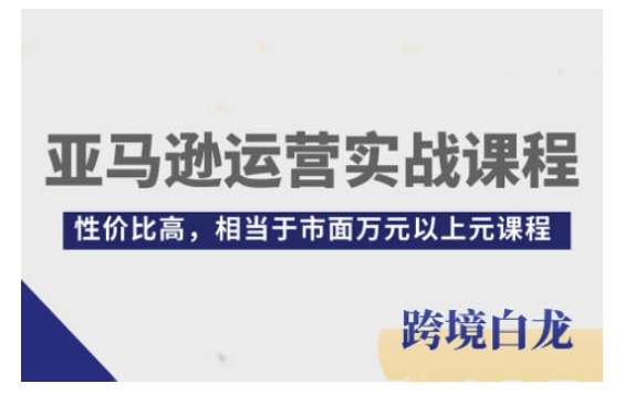 亚马逊运营实战课程，亚马逊从入门到精通，性价比高，相当于市面万元以上元课程-小白网创