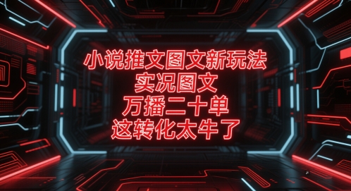 小说推文图文新玩法，实况图文，万播二十单，这转化太牛了！-小白网创