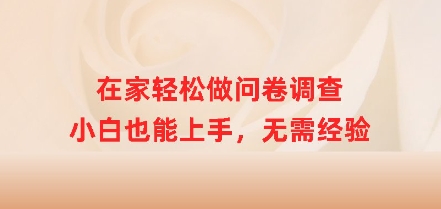 在家轻松做问卷调查，小白也能上手，无需经验-小白网创