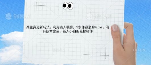 AI养生赛道新玩法，10条作品涨粉5.2W，操作简单，新人小白能轻松制作-小白网创