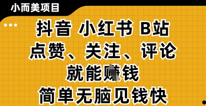 小而美的项目，抖音小红书B站视频点赞、关注、评论就能挣钱，简单无脑立见收益，妥妥的零撸项目【揭秘】-小白网创