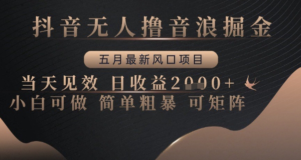 抖音无人撸音浪掘金，五月最新风口项目，当天见效，日收益多张，小白可做简单粗暴可矩阵【揭秘】-小白网创