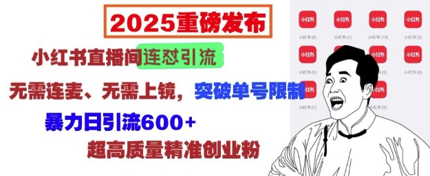 2025重磅发布：小红书直播间连怼引流，无需连麦、无需上镜，突破单号限制，暴力日引流600+-小白网创