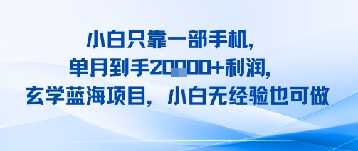 小白只靠一部手机，单月到手2W+利润，玄学蓝海项目，小白无经验也可做-小白网创