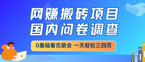 网创搬砖项目，国内问卷调查，小白轻松上手，一天三四张的也不难，干就完了【揭秘】-小白网创