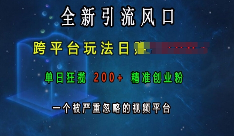 全新引流风口，跨平台玩法日入上k，单日狂揽200+精准创业粉，一个被严重忽略的视频平台-小白网创
