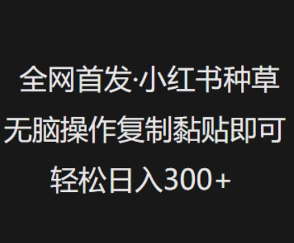 全网首发，小红书种草无脑操作，复制黏贴即可，轻松日入3张-小白网创